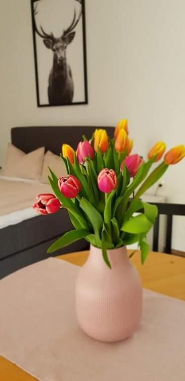 Apartmán Kozma Peterlewand Gerlitzen Ossiachersee