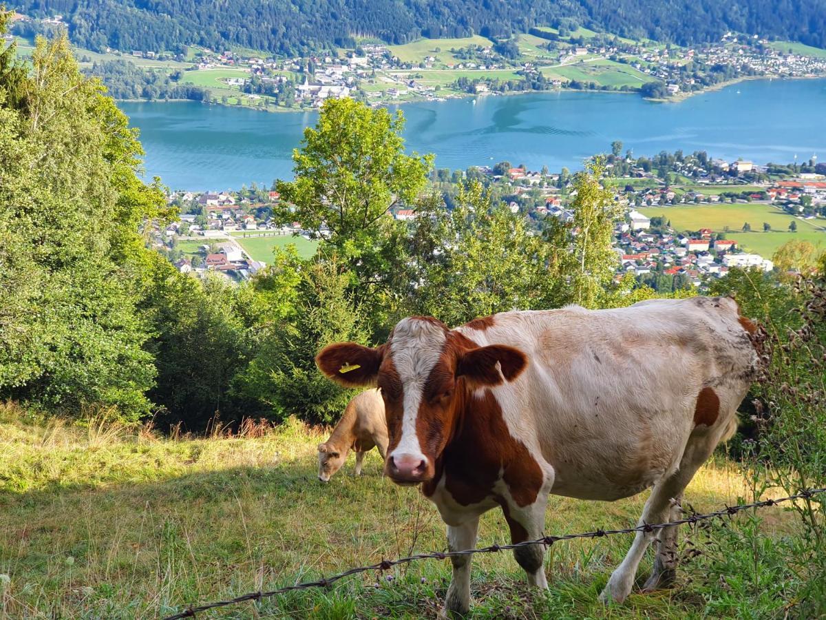 Kozma Peterlewand Gerlitzen Ossiachersee * Bodensdorf
